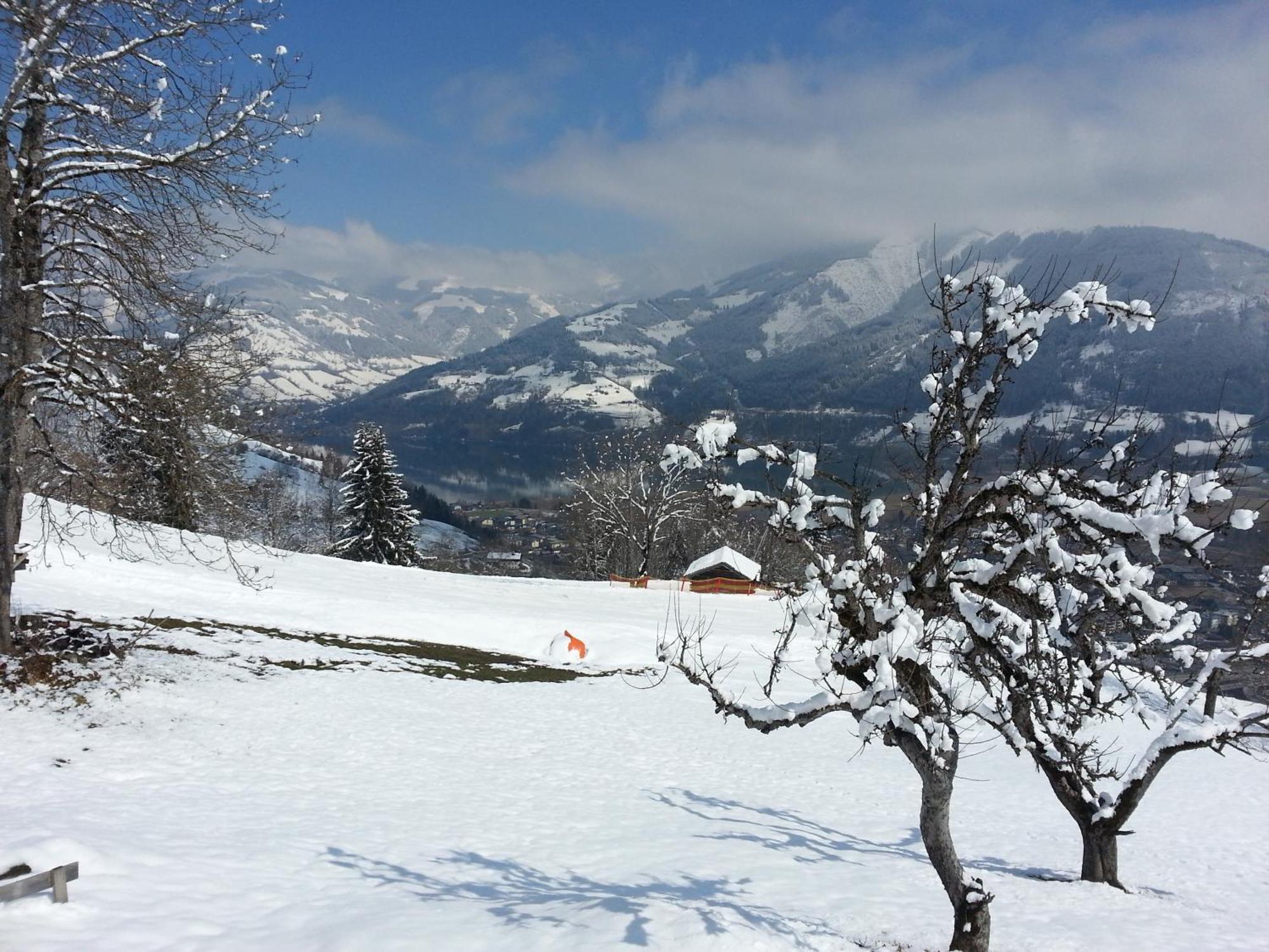 Ferienwohnung Mitterleithengut Zell am See Zewnętrze zdjęcie